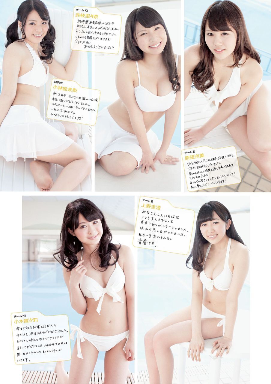 [Weekly Playboy] 2013 No.16 AKB48 SKE48 NMB48